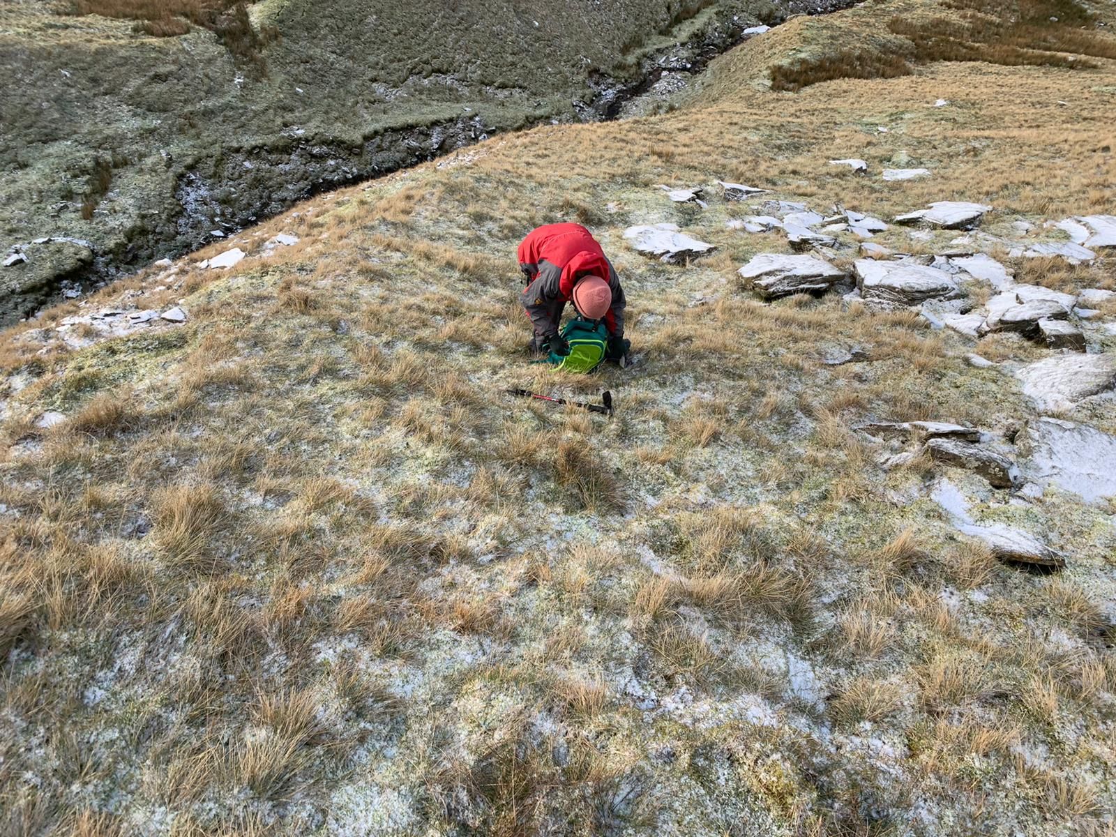 Ascending High Seat